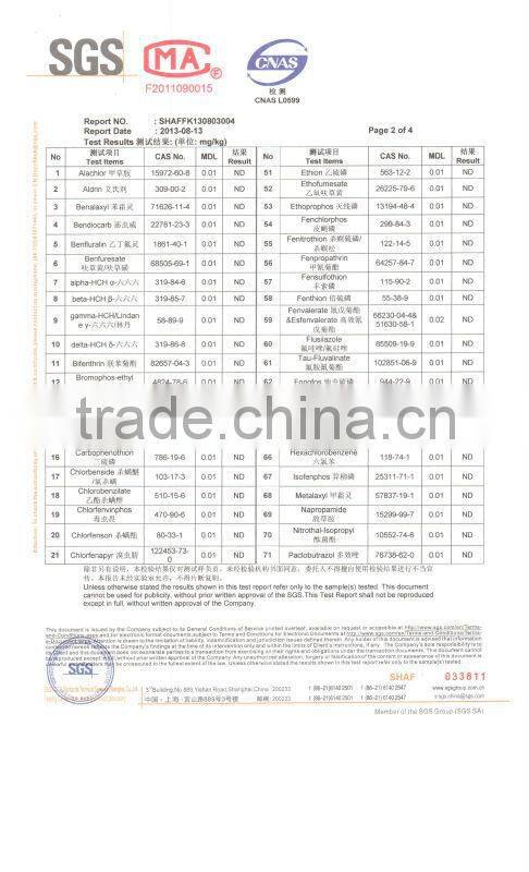 Round Bowl Eco-friendly bowl