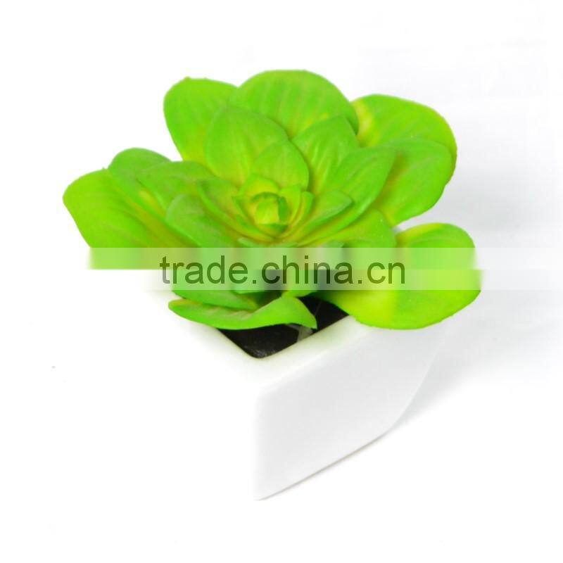 Green Artificial Succulent Plant in a square pot