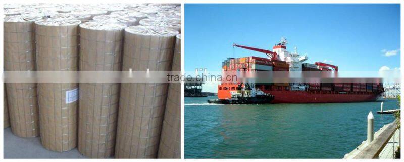 galvanized welded wire mesh for chicken/ bird