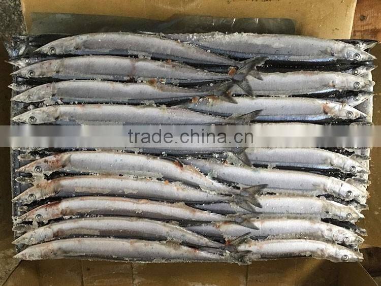frozen pacific saury seafood light catching fishing bait