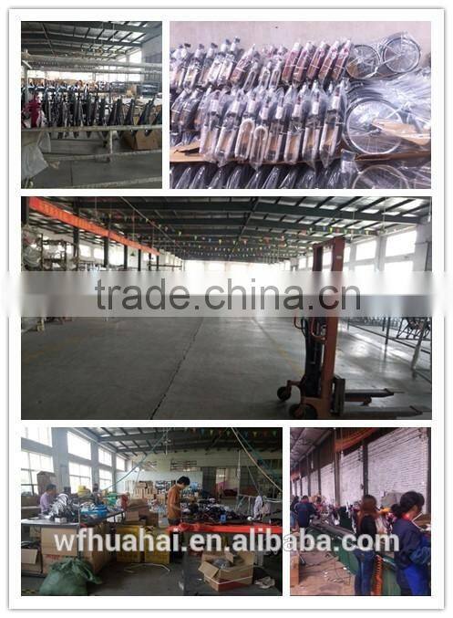 High Quality Folding Mountain Bike