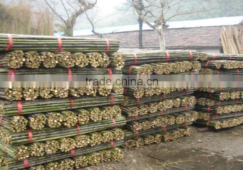 Nature Dried Bamboo Pole diameter 2-10cm Height 6m for sale