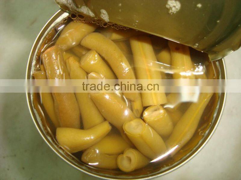 New Season Food Canned Vegetable French Beans