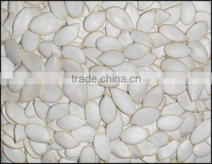 2012 crop snow white pumpkin seeds