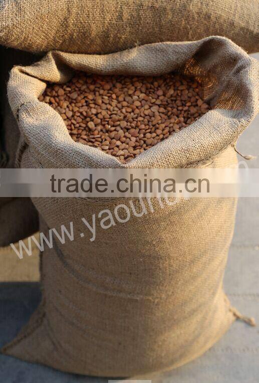 Bitter Apricot Kernel