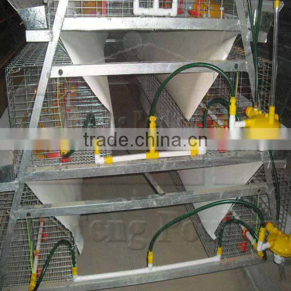 H Type Pullet Rearing Equipment 3tiers
