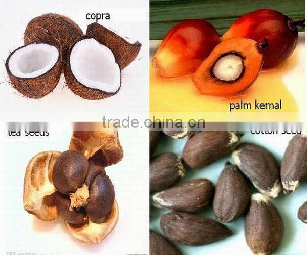 Hot sale screw oil press machine 6YL-100 with capacity 200kg/h