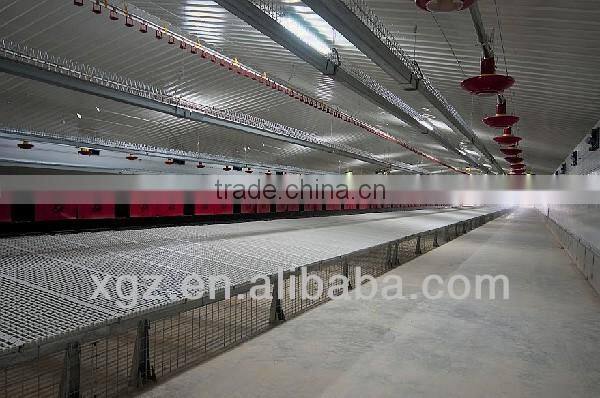 High quality Poultry Broiler and layer house