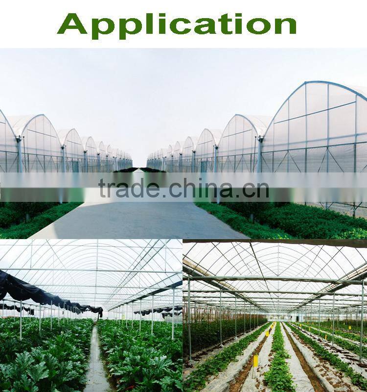 Lowest Price Greenhouse Growing Vegetable