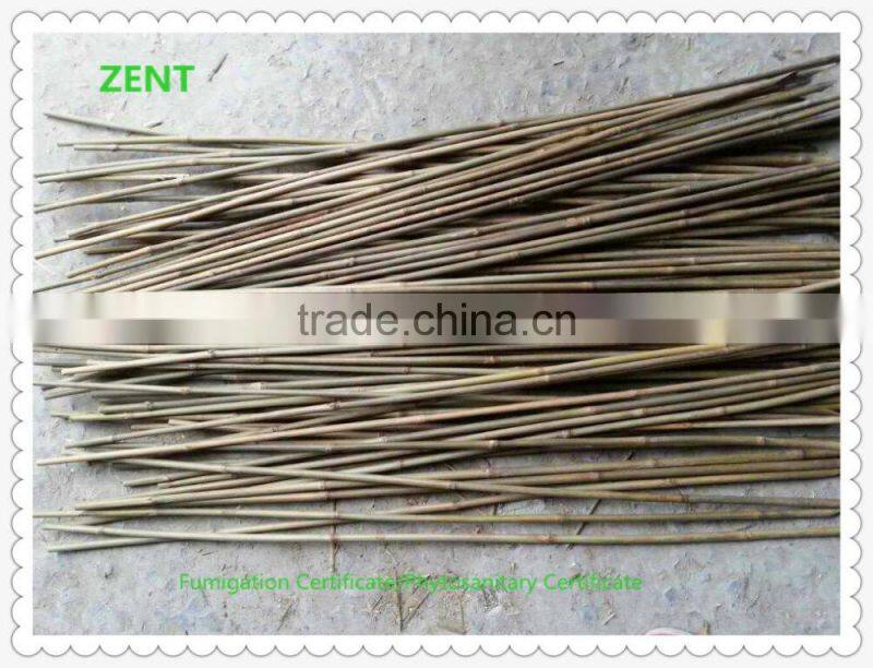 ZENT-143 Nature Dry Small Bamboo Poles/Tokin bamboo