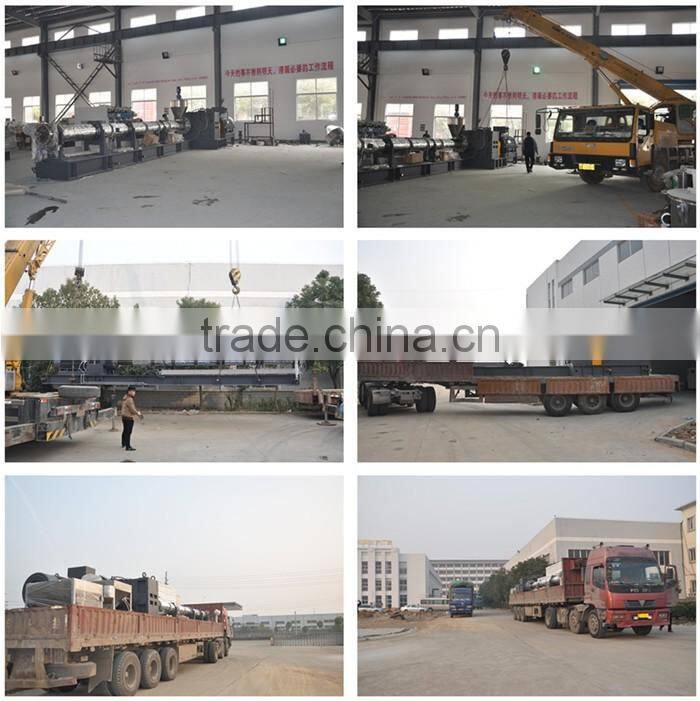 Haisi SJ Series Single Screw Extruder Machine