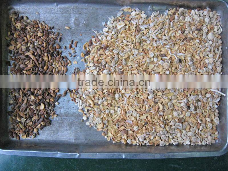 Trichromatic Dehydrated Vegetable Color Sorter Machine