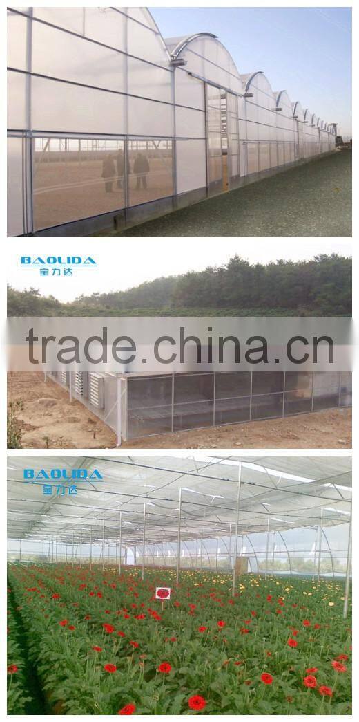 cheap easy multi-span greenhouse pe film green house