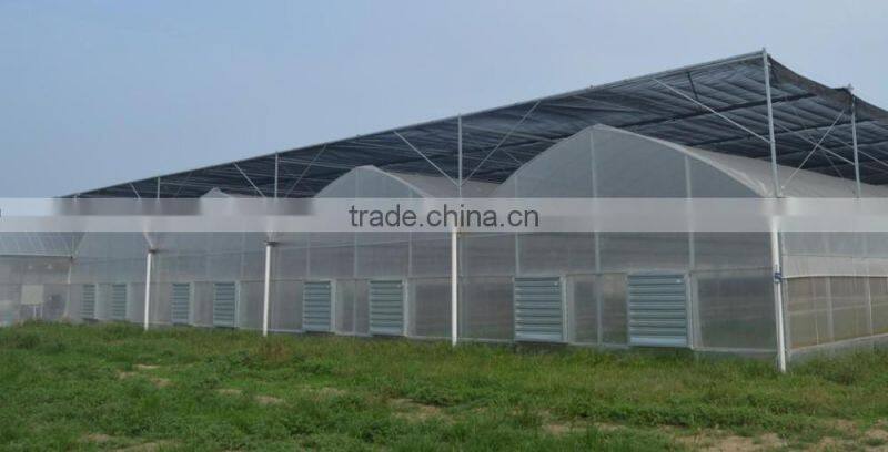 Hydroponic Greenhouse For Vegetable