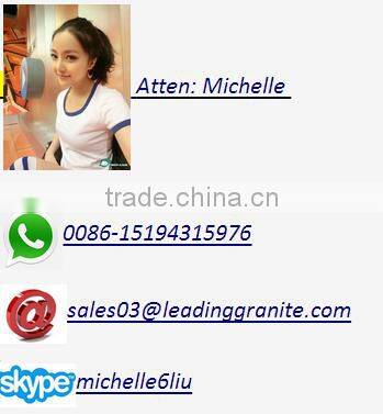 Decorative Wall stone natural marble culture stone