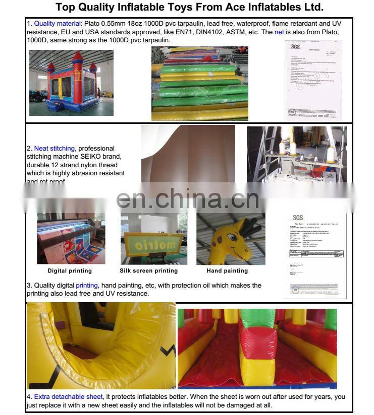 Hot Sales Slideway Frozen Theme commercial jumping castle