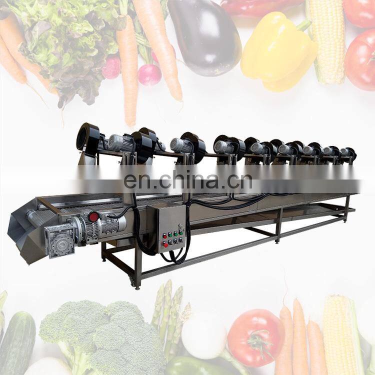 fruit and vegetable cleaning machine fruit washing equipment vegetable bubble washing machine