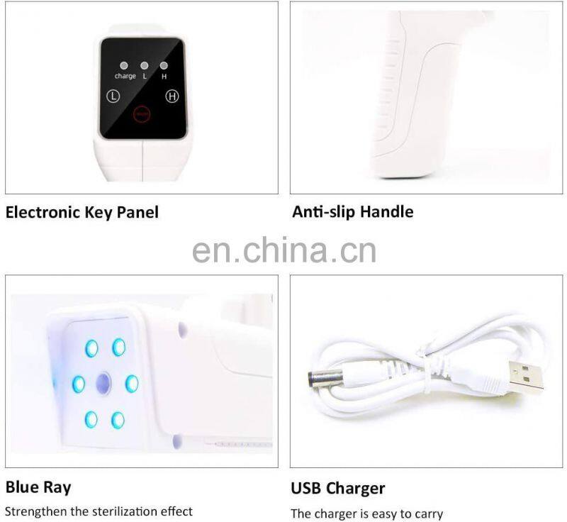 Portable Handheld Rechargeable Nano Atomizer Gun Electronic Display Sprayer Machine