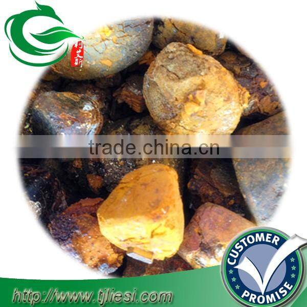 supply 2016 cattle ox cow gallstones bezoar with low price