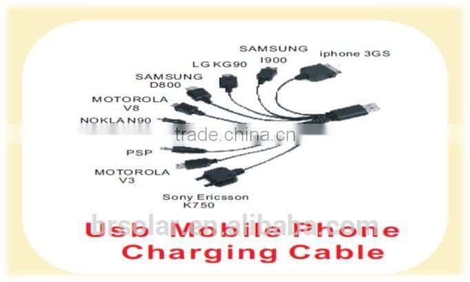 solar System for home Lighting with USB phone charger for rural area