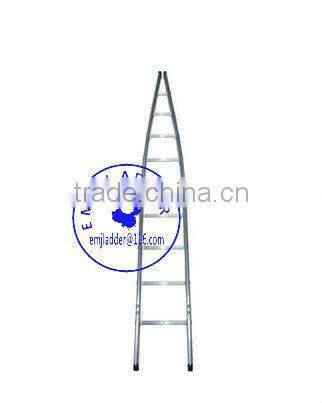 2.4m Window Cleaner Single Section Ladders