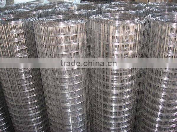 Factory Price 10 gauge galvanized welded wire mesh
