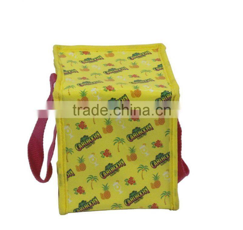 Colorful Good Quality Insulated Bag Portable Cooler Bag Ice Bag