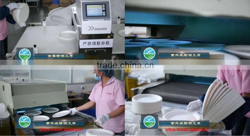 Biodegradable sugarcane bowl in food packaging