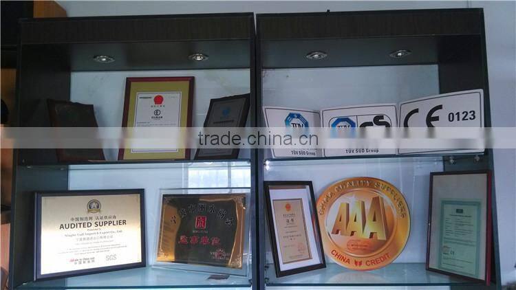 Multifunction Handheld Steam Cleaner with CB CE GS ROHS