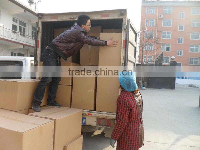 Cheap clamshell plastic blister design packaging