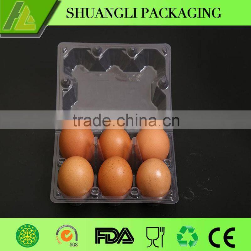 Blister Process Tray Type and Accept Custom Order egg carton packaging
