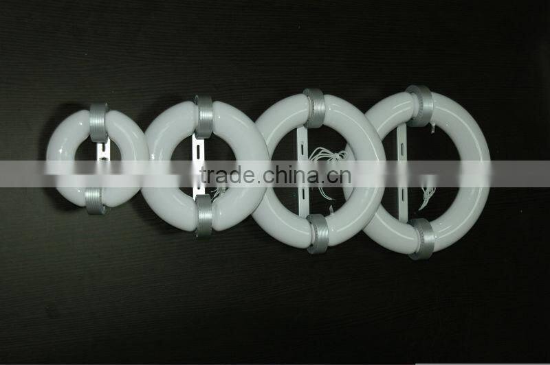 300w Induction Light 2700k-6500k