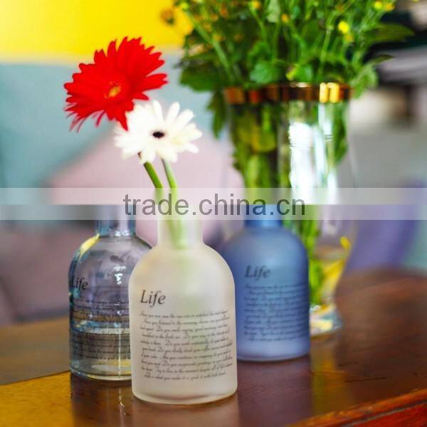 2016 hot selling different size colored clear glass vases flower for home decoration