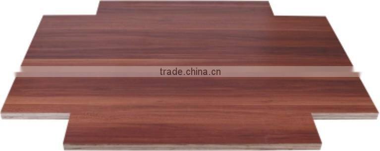 High Technical Wood Painting Machine