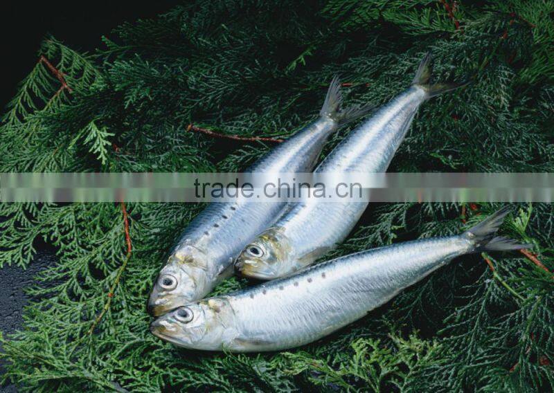 Delicious Canned sardine in vegetable oil 125g