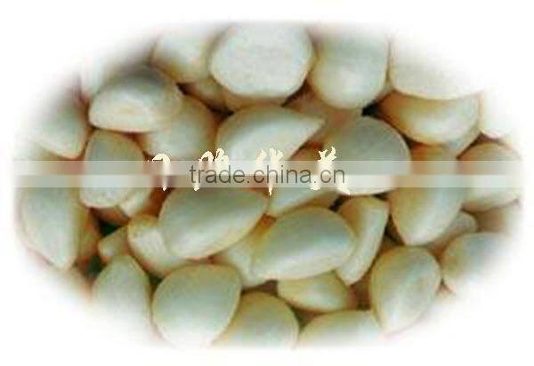 new crop high quality fresh garlic directly supply