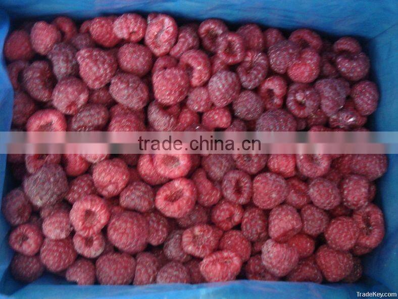 Frozen IQF Raspberry Price