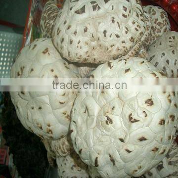 Dried Shiiitake Mushroom(with white flower)