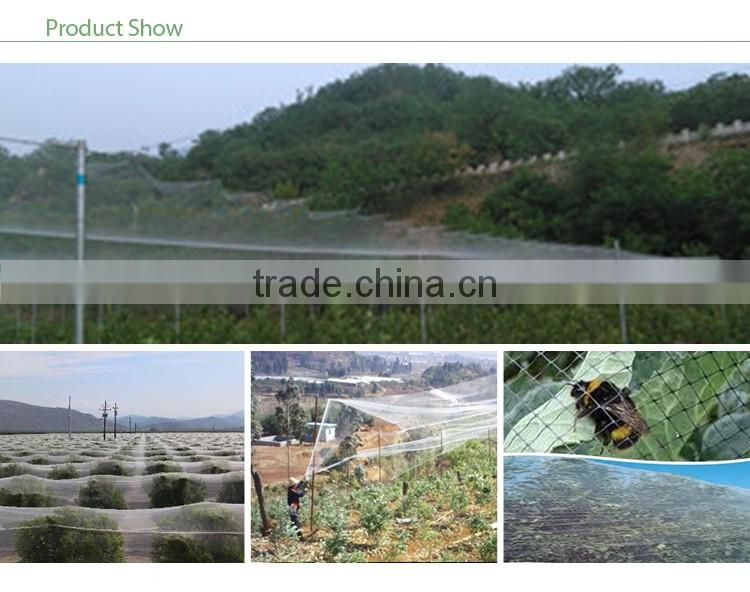 2017 Hot Sale Cheap Hdpe With Uv Greenhouse Bee Exclusion Net
