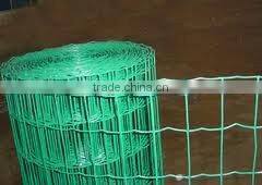 galvanized welded wire mesh(manufacturer&exporter)