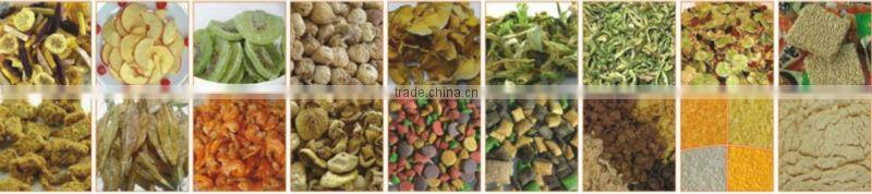 Snack Food Drying Oven