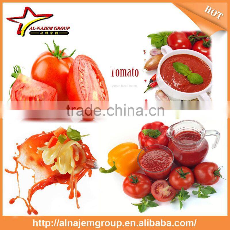 Hot sales tomato sauce machine tomato paste machine tomato paste processing machine
