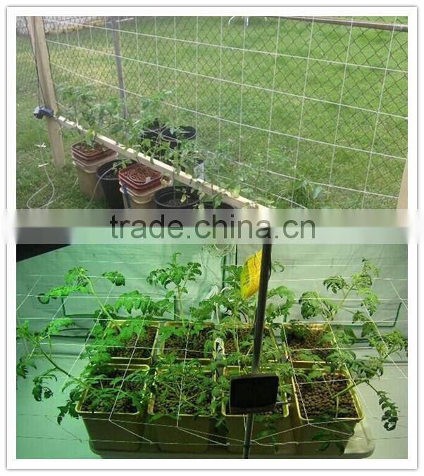 Garder Trellis Netting/Plant Support Netting/Vegetable Supporting Trelli Net