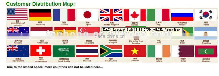 Custom High Quality Genuine Leather Lady Tote Bag