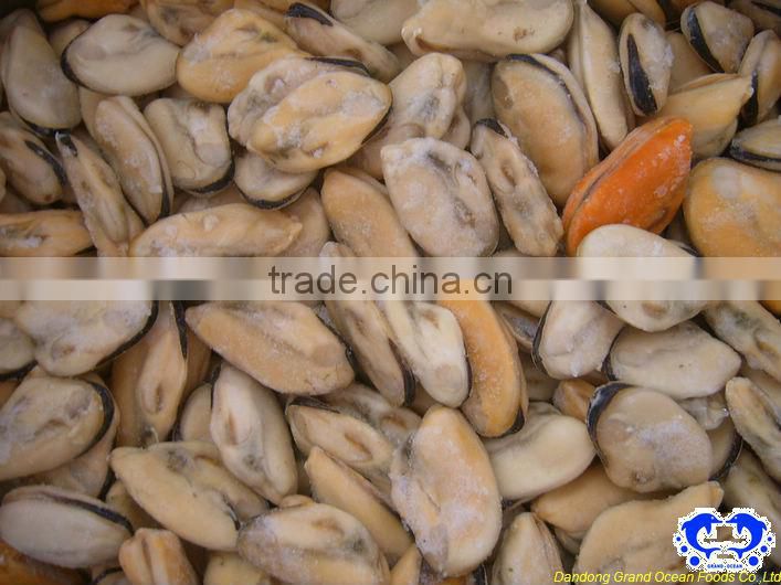 IQF chair de moules congelees