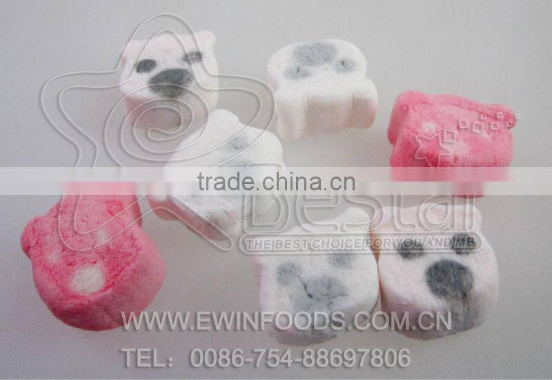 Cute Teddy Bear Marshmallow with Jam