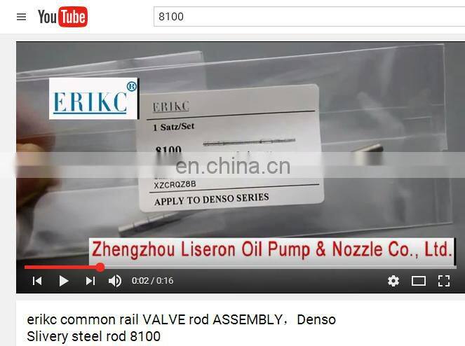 Denso 095000-8101 auto accessory injector rod 095000 8102,fuel system injector rod 0950008100(VG1096080010)