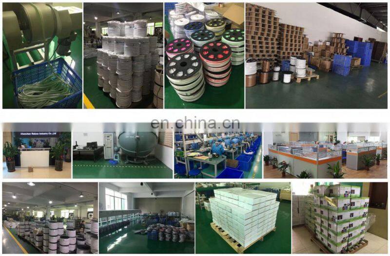 High Quality neon led waterproof 12V 24V 220v neon flex rgb led tube/strip/rope