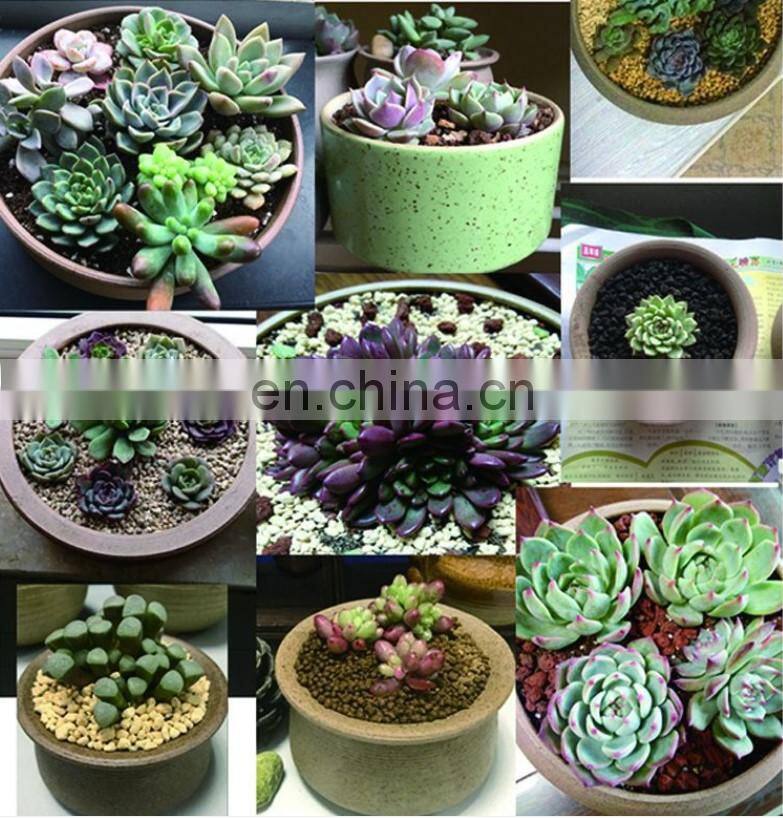 Jingdezhen mini hand painted decorative ceramic flower pots for sale