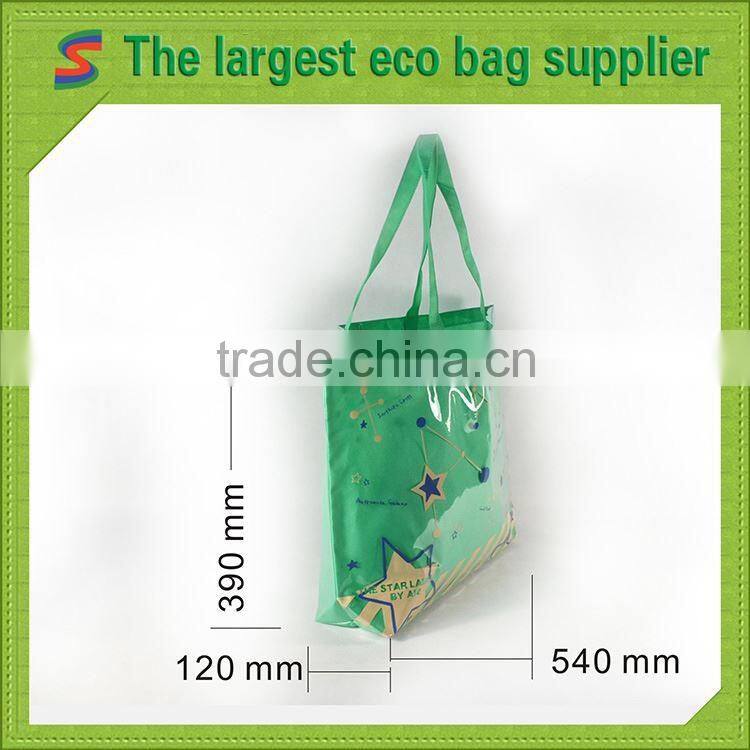 LB95 Pp Non Woven Matt Laminated Bag
